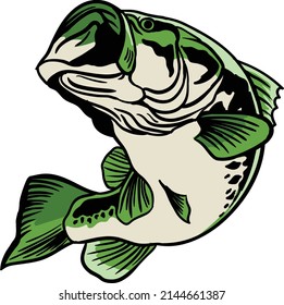 vector illustration of largemouth bass fish