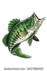 Vector Illustration of Largemouth Bass Fish