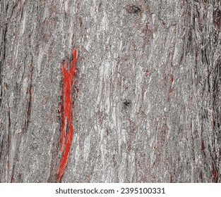 Vector illustration of Larix decidua or European Larch bark texture. Close up.
