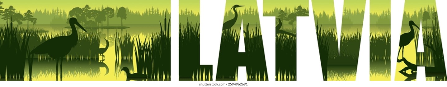 vector illustration - Latvia wetland with stork and heron