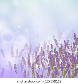 Vector Illustration of a Lavender Background