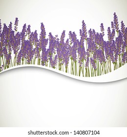 Vector Illustration of a Lavender Background