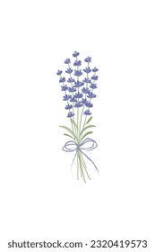 Vector illustration of lavender bouquet