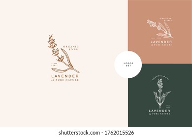 Vector illustration lavender branch - vintage engraved style. Logo composition in retro botanical style