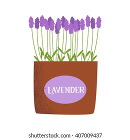 Dibujo vectorial de lavanda en el bonito estilo retro plano de caricatura. Icono de planta en olla para tarjeta de diseño, postal, revista, logo para tienda, tienda, scrapbook