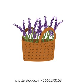 Cesta de flores de lavanda de ilustração vetorial