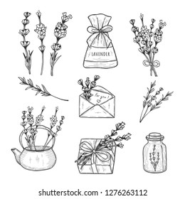 Vector illustration of lavender herb set. Branch, flowers, bouquet, bush, pouch, fragrance, present decoration, tea, envelope, bottle. Vintage hand drawn doodle style.
