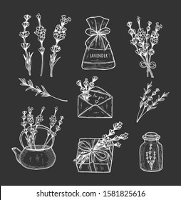 Vector illustration of lavender herb set. Branch, flowers, bouquet, bush, pouch, fragrance, present decoration, tea, envelope, bottle. Vintage hand drawn doodle style.