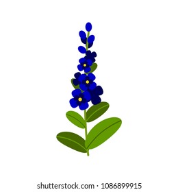 Vector illustration of a lavender isolated on white in a flat style. Summer field flower.
