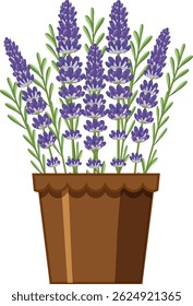 Vector illustration of a lavender plant in a brown pot. Features vibrant purple flowers and green leaves with a clean design