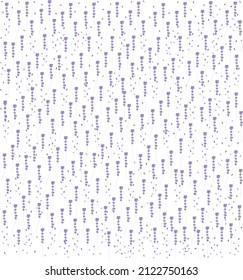 Vector Illustration Of Lavender Spikes With Single Lavender Buds, Scattered