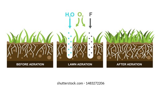 349 Lawn Dethatcher Images, Stock Photos & Vectors | Shutterstock