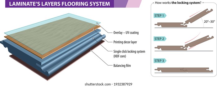 Vector illustration of the Layers of Laminate Flooring - laminate click system.