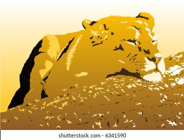 Vector illustration of a lazy lioness