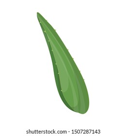 Vector illustration of leaf and aloe logo. Web element of leaf and green stock vector illustration.