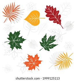 vector illustration leaf autumn abstract graphic design set tree background art yellow floral orange wallpaper fabric summer spring style beautiful green colorful park print jungle paper backdrop 