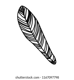 Vector illustration of a leaf. Black outline doodle monochrome style.