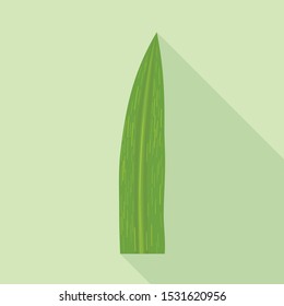 Vector illustration of leaf and cane symbol. Graphic of leaf and plantation stock vector illustration.