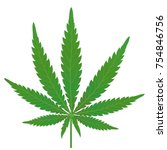 Vector illustration of a leaf of a cannabis plant