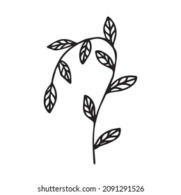 ilustración vectorial de una hoja en estilo doodle