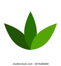 Vector illustration of leaf flat design