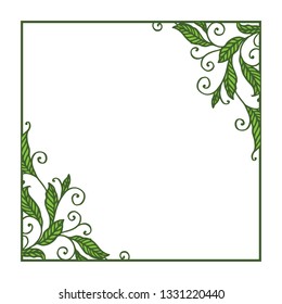 Vector illustration leaf floral frame white background hand drawn