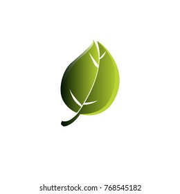Vector illustration leaf and flower nature logo