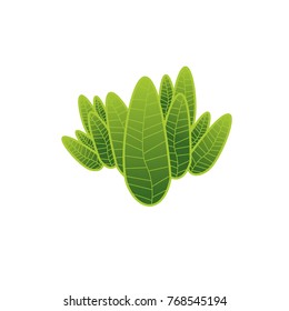 Vector illustration leaf and flower nature logo