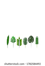 Vector illustration of a leaf 
Good for whatever you want