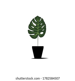 Vector illustration of a leaf 
Good for whatever you want