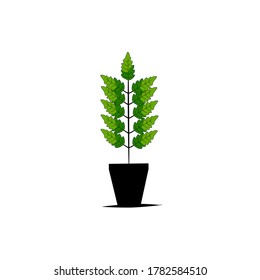 Vector illustration of a leaf 
Good for whatever you want