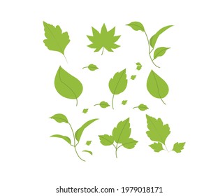 
vector illustration of leaf graphics for decoration and more
