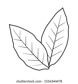 Vector illustration of leaf and green logo. Web element of leaf and tea Stock symbol for web.