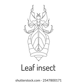 Ilustración vectorial de un insecto de hoja en estilo de arte de línea. Dibujo en blanco y negro con contornos detallados, ideal para colorear libros, materiales educativos, estudios de biología y diseños con temas de naturaleza