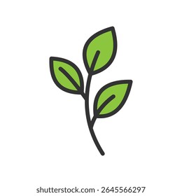 Vector illustration of a leaf isolated on white background