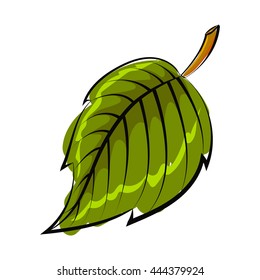 Vector illustration of leaf in line sketch style.