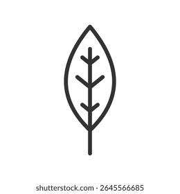 Vector illustration of a leaf in line style isolated on white background