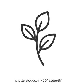 Vector illustration of a leaf in line style isolated on white background