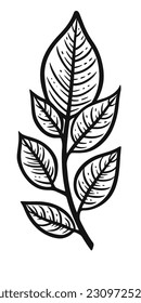 Ilustración vectorial, Ilustración de la hoja, linearato