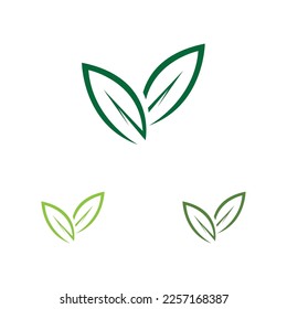 vector illustration of leaf logo design