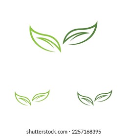 vector illustration of leaf logo design