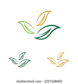 vector illustration of leaf logo design