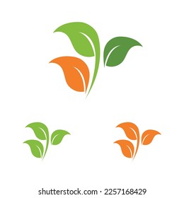 vector illustration of leaf logo design