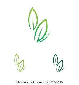 vector illustration of leaf logo design