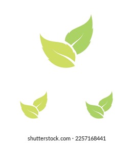 vector illustration of leaf logo design