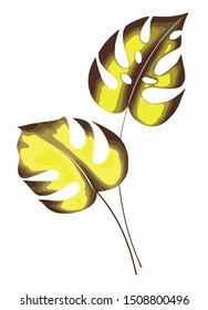 Vector illustration of leaf monstera for creative ideas