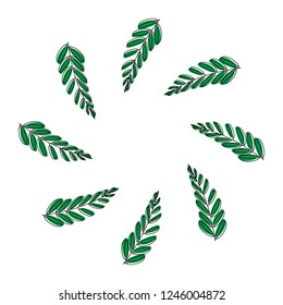 Vector illustration. leaf of plant or flower or branch isolated on white. Decor floral plant element. Circle botanic pattern, frame.