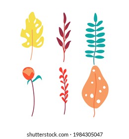 Vector illustration of leaf set. Abstract icon tropical leaves. Tropical nature. Minimal nature concept. Graphic design element. Tropical palm leaves. Nature and jungle plant icon.