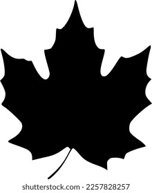vector illustration of leaf shape