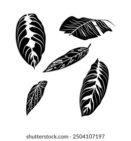vector illustration of leaf silhouette